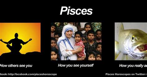 funny pisces meme zodiac memes pinterest pisces meme and zodiac