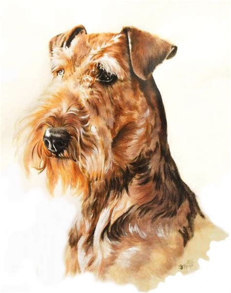 airedale  barbara keith airedale terrier airedale dogs dog drawing