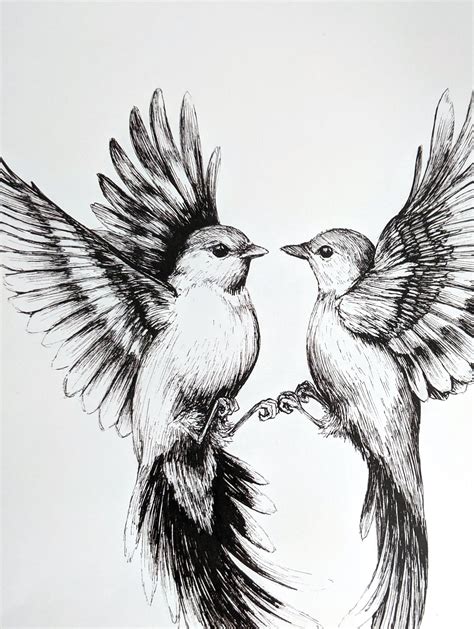 flying birds art print realistic bird drawing etsy