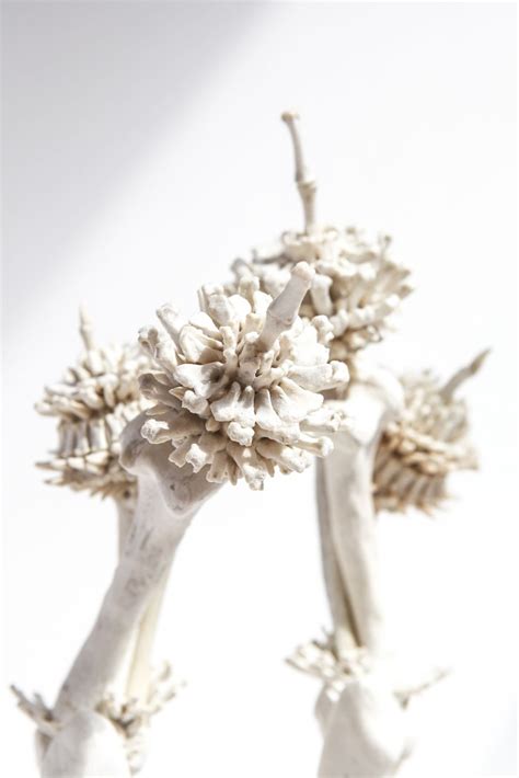 artist emma witter breathes new life into bones to create intricate