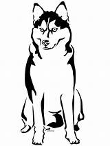 Husky Coloring Pages Siberian Clipart Printable Puppy Svg Huskies Sitting Dogs Dog Colouring Adult Cartoon Drawing Silhouette Clip Stencil Cliparts sketch template