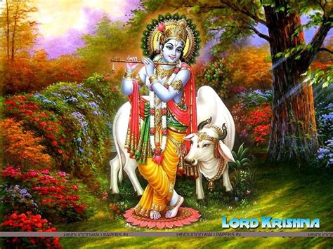 best latest collection of krishna images god krishna hare krishna photo gallery free download