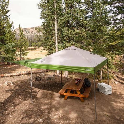 coleman    instant canopy  swing