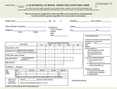 california immunization card  bunyanesque  journal photography