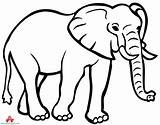 Elephant Outline Clipart Drawing Coloring Animals Animal Pages African Printable Cliparts Clip Clipartmag Silhouette Library Zoo Simple sketch template