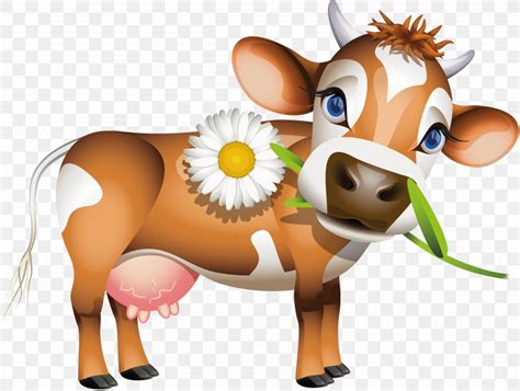 jersey cattle holstein friesian cattle calf dairy cattle clip art png