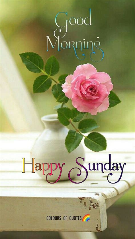 happy sunday wishes good evening  good morning sunday