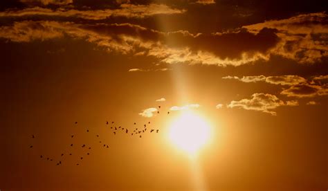 무료 이미지 수평선 구름 하늘 태양 해돋이 일몰 햇빛 아침 새벽 분위기 저녁 반사 빨간 조류 잔광