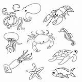 Animaux Diorama Colorant Meereswelt Template Charmant Malvorlagen Patrol Jellyfish sketch template
