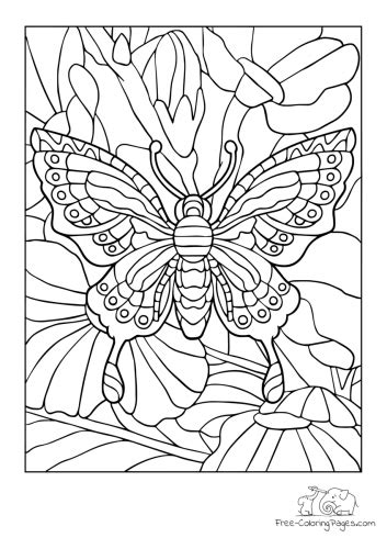 coloring page butterfly  flowers  coloring pages