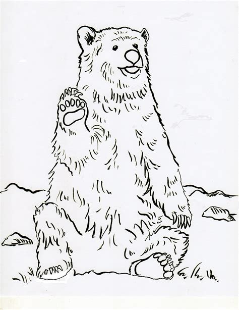 bear coloring sheets printable