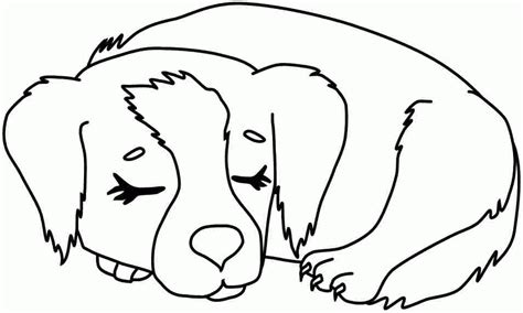 puppies  kitties coloring pages coloring home
