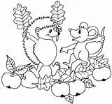 Herbst Ausmalbilder Ausmalbild Igel Eichhörnchen Malvorlagentv Kürbis sketch template