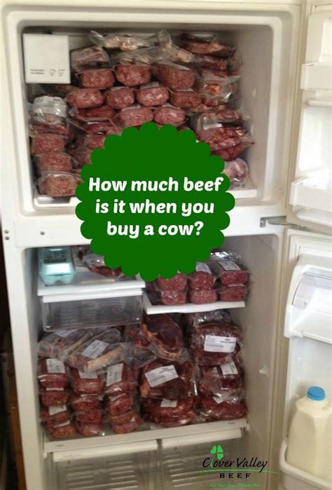 buying      beef   clover meadows beef