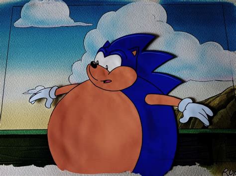 adventures  sonic  hedgehog fat sonic cel hand painted background dic