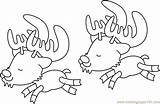 Coloring Caribou Pages Christmas Animals Coloringpages101 Kids Printable Holidays sketch template