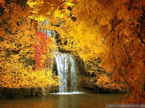 fall scenes pictures  pin  pinterest pinsdaddy fall scenes