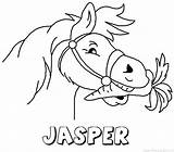 Jasper Naam Sinterklaas Paard Kangoeroe sketch template