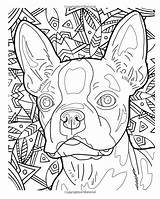 Coloring Pages Dog Book Beautiful Amazon Adults Wild sketch template