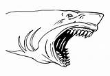 Requin Dents Requins Sharks Jaws Enfants Goo Jit Coloriages sketch template