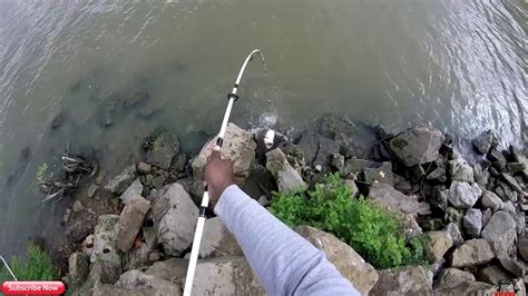 affordable rod  reel catfish combos youtube