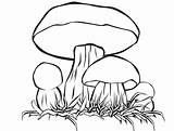 Coloring Mushrooms Pages Mushroom Printable Kids Funny Print Justcolor sketch template