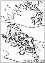 Panther Bagheera Shere Kaa Khan sketch template