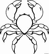 Coloriage Crabe Krabbe Ausmalbilder Dessin Ausmalbild Imprimer Schere Riesigen Scheren sketch template
