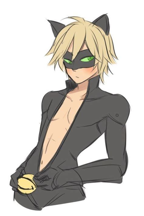 sexy chat noir mlb in 2019 pinterest miraculous ladybug miraculous and ladybug