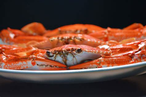 top  popular seafoods discover   ocean delicacies ocean recipes
