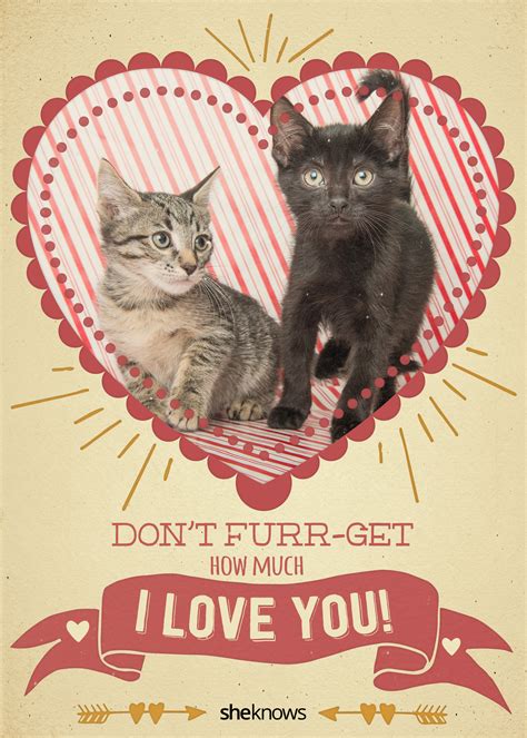 kitty cat valentines day cards     aww