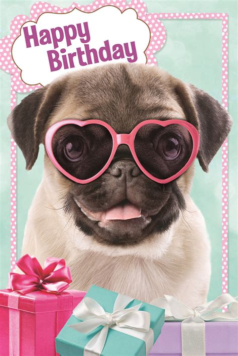 large cute pug birthday card  love pugs