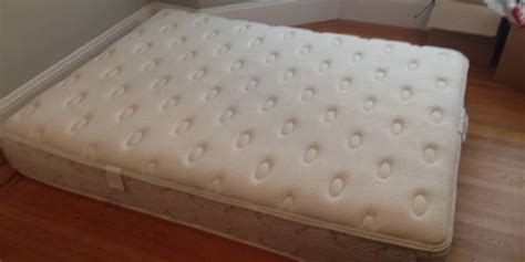 craigslist ad puts cheater on blast in hilarious listing for plush ass mattress