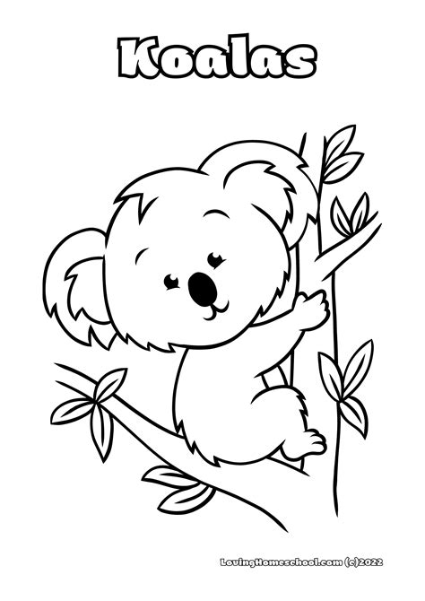 koala coloring pages lovinghomeschoolcom