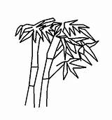 Bamboo Coloring Template Pages sketch template