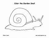 Snail Coloring Exploringnature sketch template