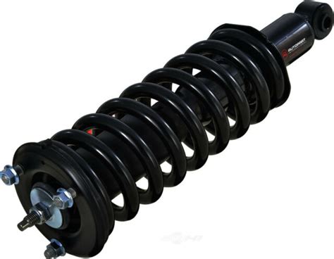 suspension strut  coil spring assembly pro strut front autopart intl ebay