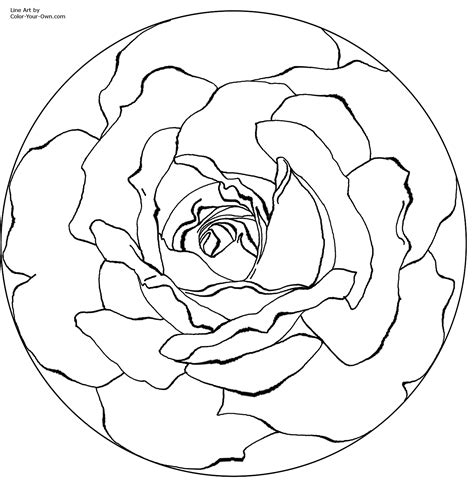 mandala rose flower coloring page
