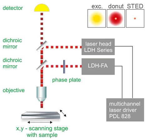 stimulated emission depletion microscopy sted picoquant