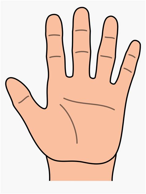 handprint outline hand outline  hands template clipart hand clipart