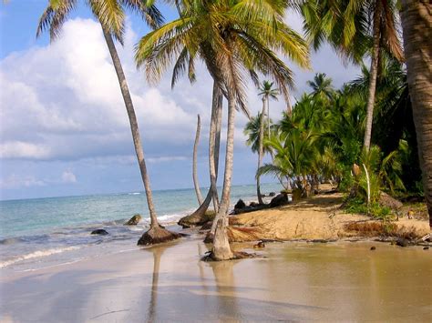 Las Terrenas Le Paradis Sauvage De La République Dominicaine