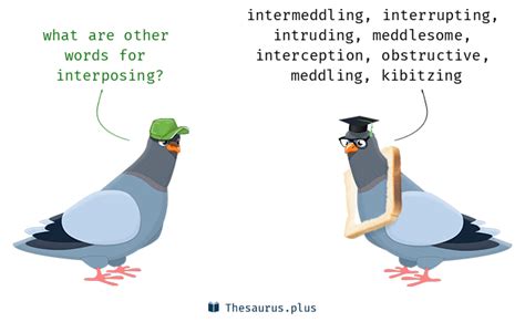 interposing synonyms similar words  interposing