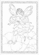 Enchanted Fairies sketch template