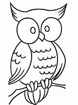 Coloring Owl Pages Print Getcolorings Printable Color sketch template