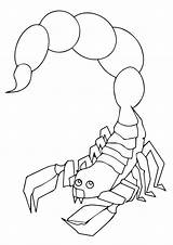 Scorpion Coloring Deathstalker Pages Printable Categories Popular Books sketch template
