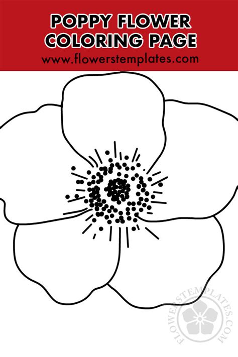 big poppy flower coloring page flowers templates