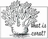 Reef Coral Coloring Easy Drawing Great Barrier Pages Getdrawings Paintingvalley Getcolorings sketch template