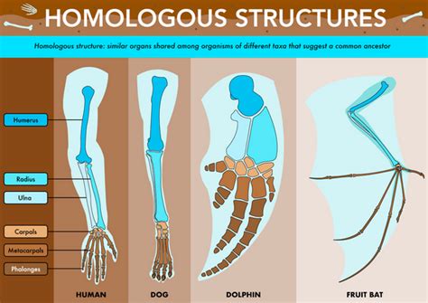 unit 2 quiz 1 review the biology classroom