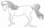 Cavalo Cavalos Onlinecursosgratuitos Selvagens Menino sketch template