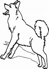 Husky Siberian Wecoloringpage Puppy sketch template
